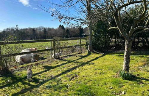 Le grenier des inities - Foto 26