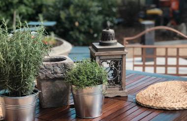 Ferienwohnungen Weise im Lausitzer-Seenland - Photo 32