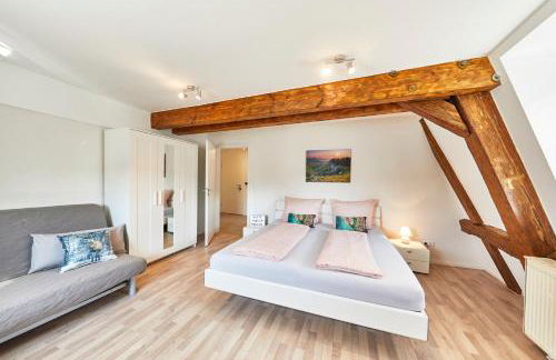 Wohnung 2 - nur 5 Fahrminuten vom Europapark - Foto 2