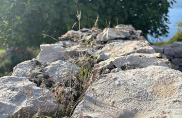 Island home Green Escape Cres - Foto 23