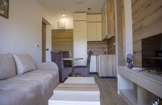 Apart Hotel Gondola Kolasin - Photo 46