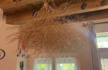 GITES - Mas Saint-Louis - Piscine chauffée - Foto 72