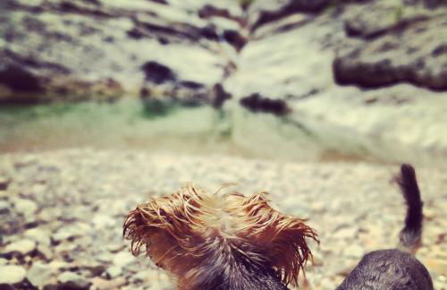 Les Valletes - Foto 62