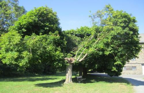 Ferienwohnung Erlenhof - Foto 25