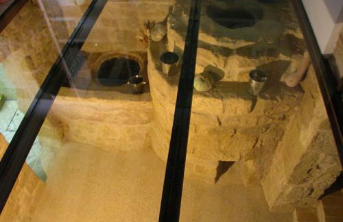 Los Chicos de Lastanosa Hotel y Restaurante - Foto 18