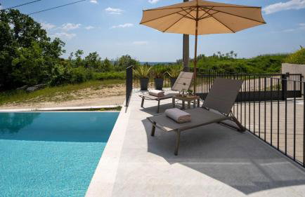 Modern villa Venta with jacuzzi and pool in Buje - Foto 15