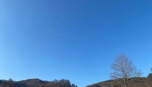 Le Riquewihrien - Foto 5