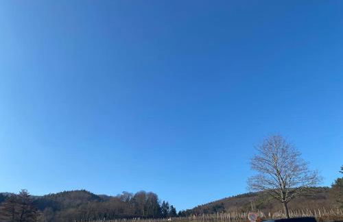 Le Riquewihrien - Foto 5