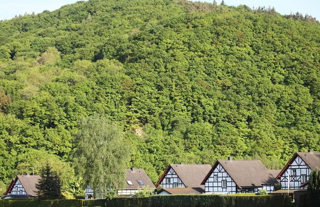 Bos en Kasteel - Foto 17