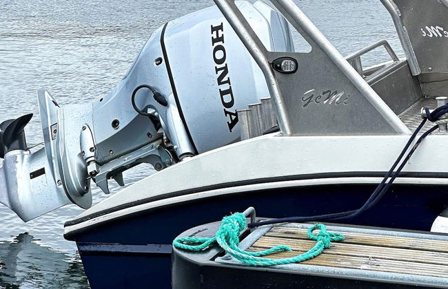 4 Person Holiday Home in Oksvoll - Foto 3