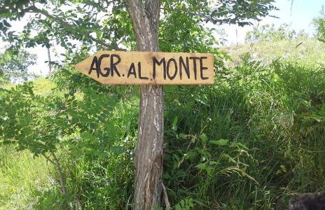 Agriturismo al Monte - Foto 42