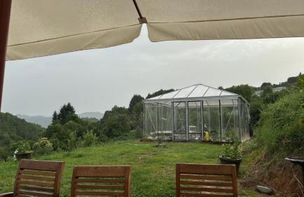 Leon Morto - Foto 34