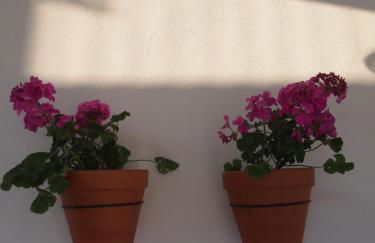 SUITES 9 MALAGA, three unique suites with private plunge pool - Photo 27