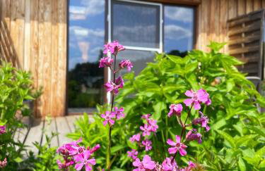 Leśny Zakątek Uroczysko -Apartamenty Nowoczesnej Stodoły - Foto 50