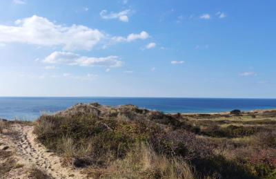 Les Sternes - Foto 50