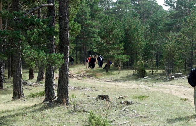 Apartamentos Rurales Sierra de Gúdar - Foto 41