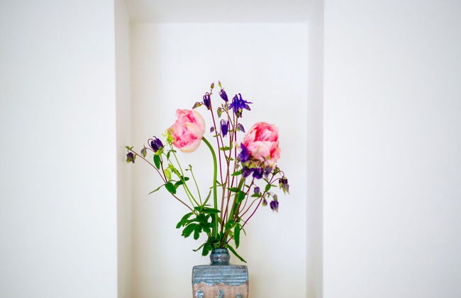 Apartment in Baflo Near Seal Center - Photo 28