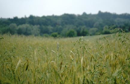 Domki na Górniej Łące - Domek Górny - Foto 55