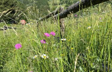 Maison Du Coeur Champoluc - Spa, Gym e aree relax - Foto 35