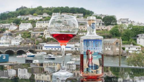 Large House in Looe, Near Beach and Bars with Great Views, Free Parking and Free Access to a Nearby Indoor Swimming Pool - Foto 5