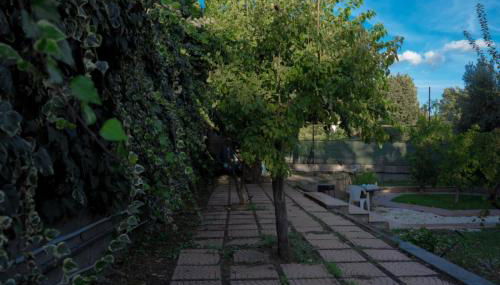 Le Pernici Apartments - Foto 3, Garden, Garden view