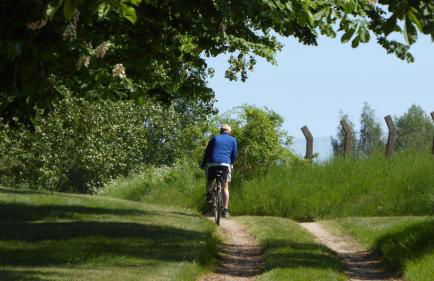 Gut-Rattelvitz-Galerie-D-hochwertig-Sauna-Kamin-eTankstelle-Spielscheune-15-000qm-Parkland - Photo 67