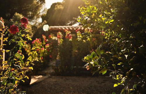 VILLA BASILIO - Photo 18