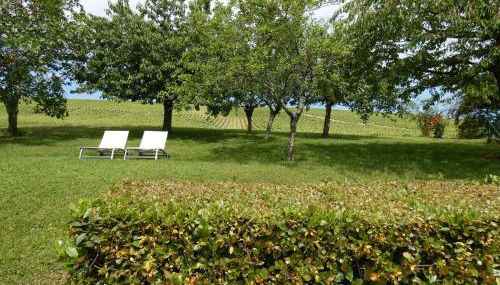 Gite Des Vignes - Foto 3