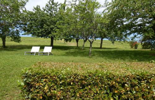 Gite Des Vignes - Foto 3