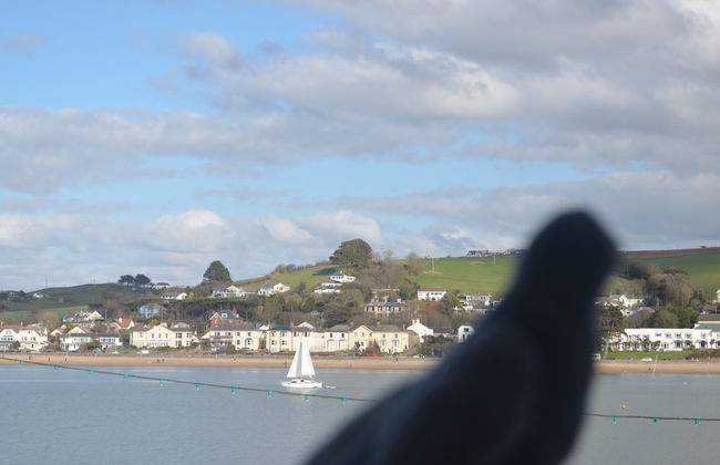 Appledore Factory - Foto 26