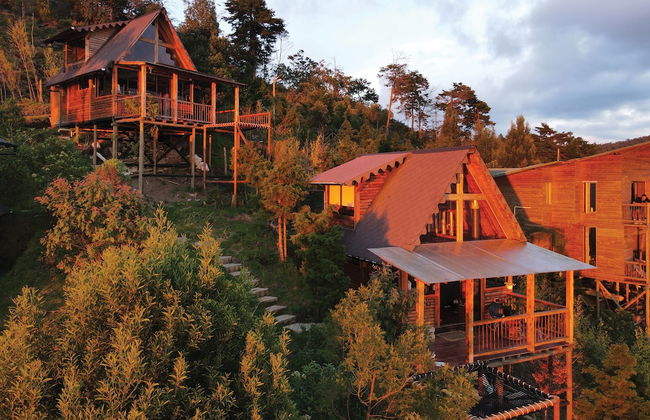 Skyline Ecoliving - Foto 53