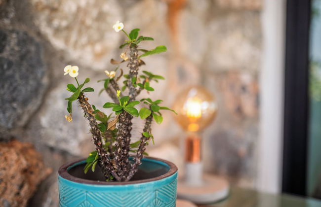 Modern and Cozy Designer Apartment in Relaxing Environment - Foto 34