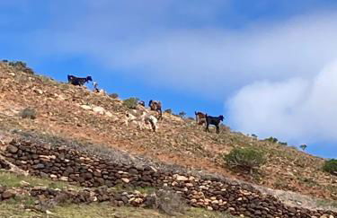 Centro Ave Fénix - Photo 14