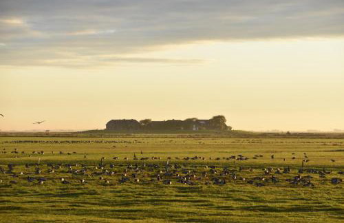 Fewo Nordseeblick - Foto 19