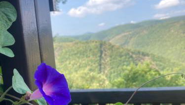 Agriturismo Becerca Vegan - Foto 3