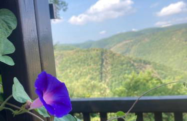 Agriturismo Becerca Vegan - Foto 3