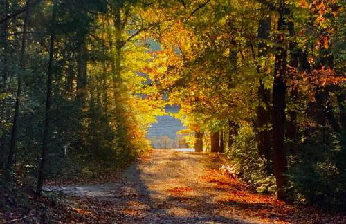 Country Ridge - Foto 21