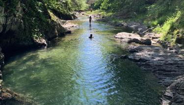 The Cottage in East Poultney - Foto 4