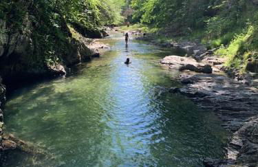 The Cottage in East Poultney - Foto 4