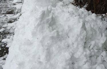 Ferienwohnung am Siegelbächle - Foto 15