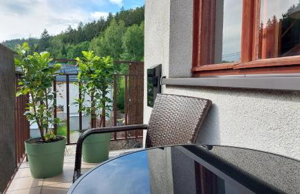 Apartament Międzygórski - Foto 8