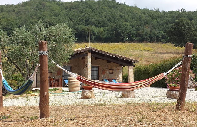 Poggio Al Vento - Photo 38