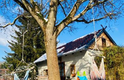 Walnußhof - Foto 25