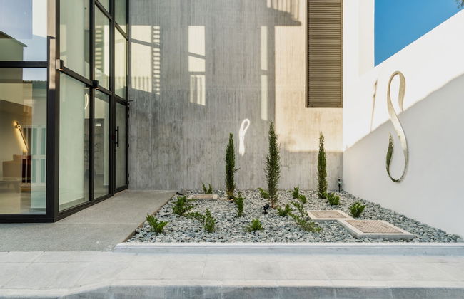 Sanders Armonta - Foto 27