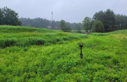 Domki RADAWA na Kliszówce - Foto 65