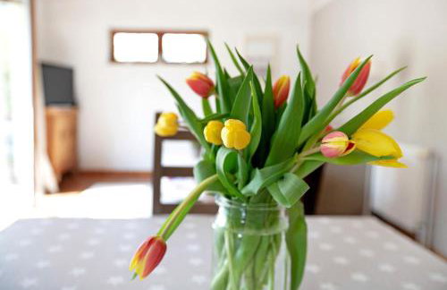 Ferienhaus 'kiek op de Beek' - Foto 2