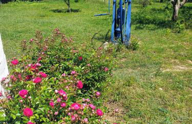 Sondela Self Catering - Foto 30