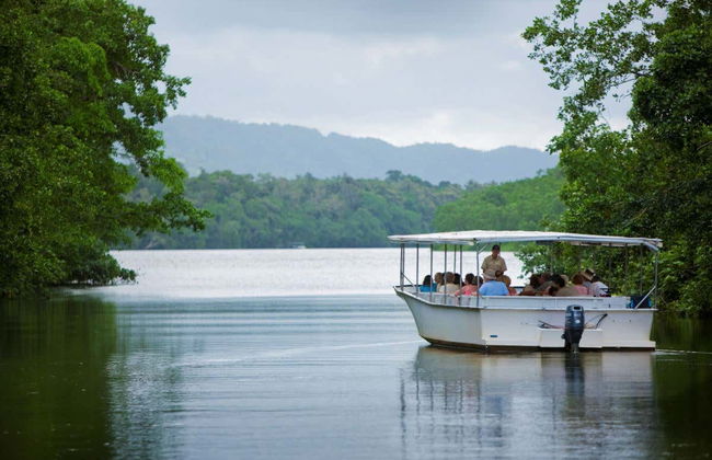 Escursione a Daintree, Mossman Gorge e Cape Tribulation - Photo 3