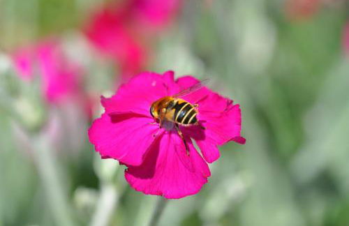 Landhaus Brigitte - Photo 56