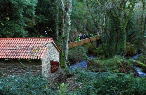 A Casa da Moucha - Foto 19